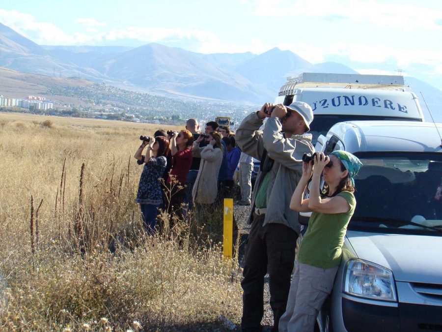 Birdwatching in Turkey Birdwatching in Turkey