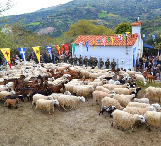 Greece Guided Tours