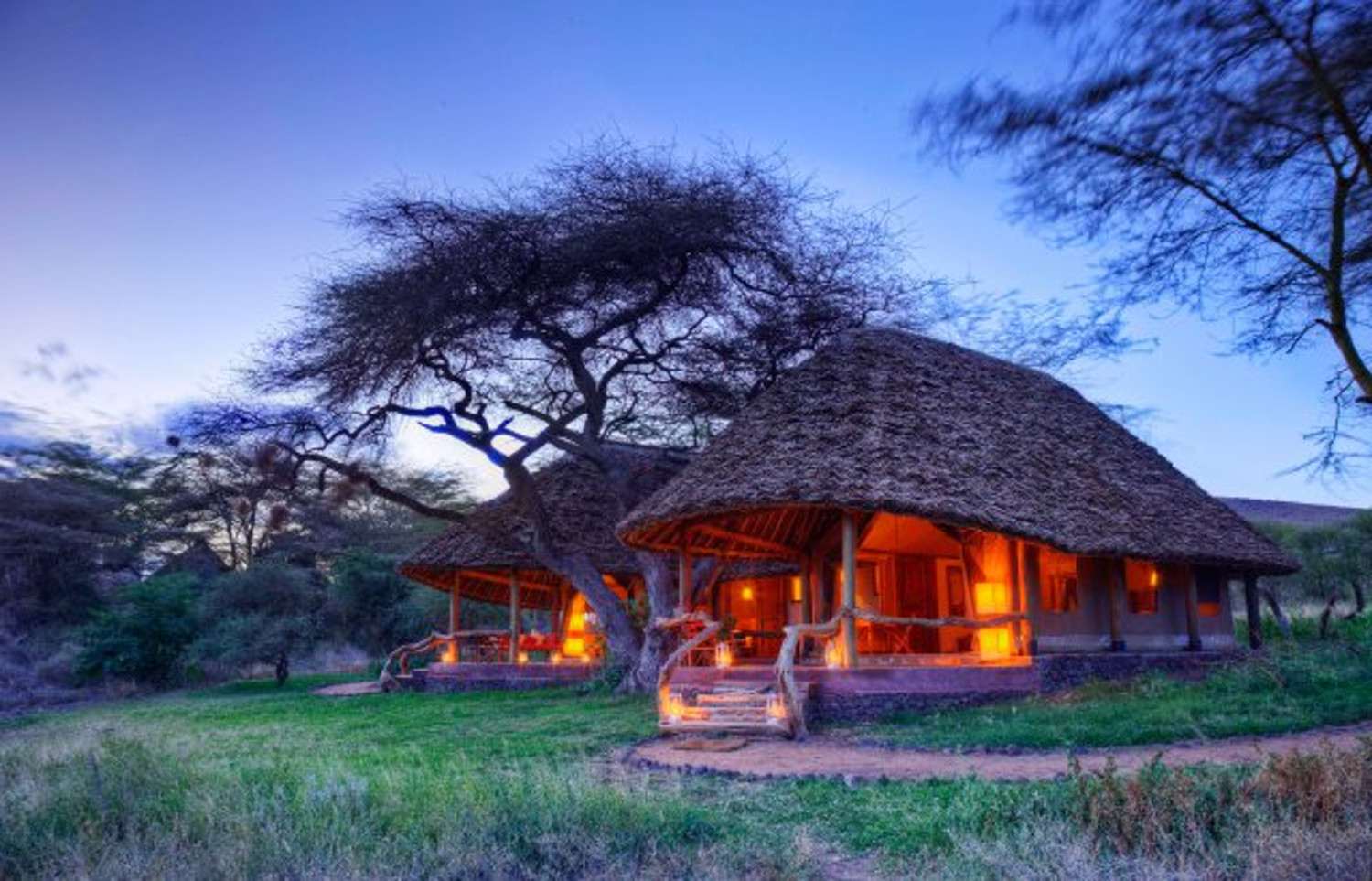 Best Africa Tours & Luxury Safari Packages 2025 & 2026