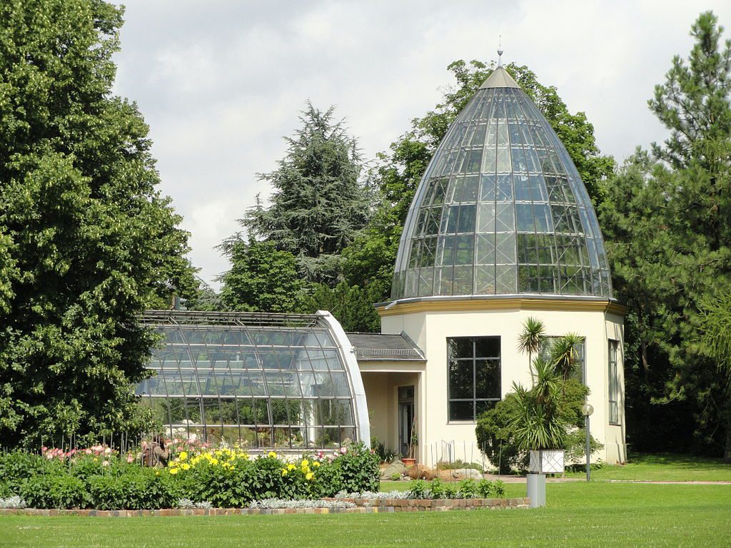 Top 8 Places to Visit in Frankfurt / Palmengarten, Frankfurt
