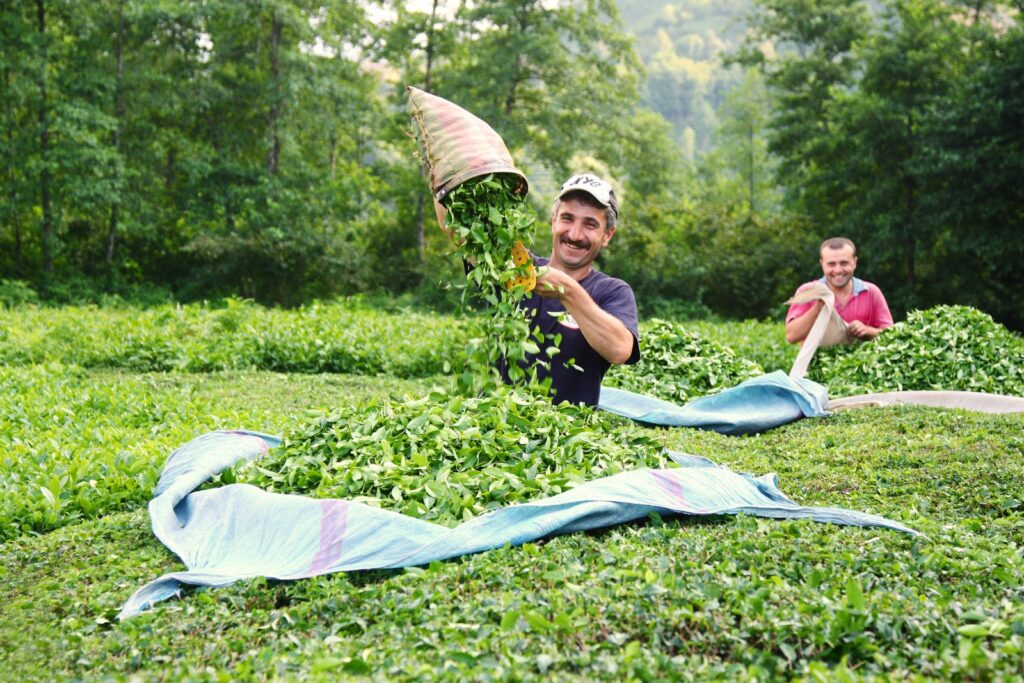 Turkey Small Group Tours