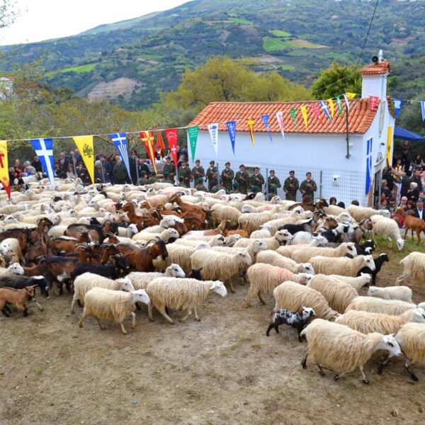 Greece Guided Tours