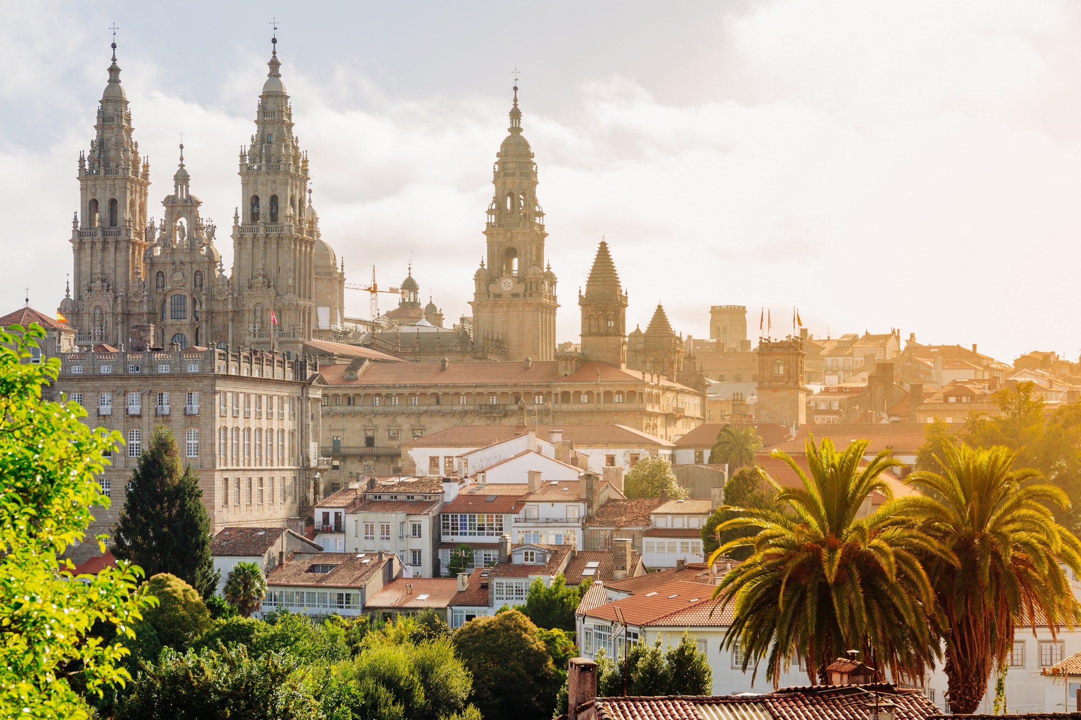 Guided Tours to Europe / Santiago de Compostela, Cathedral at sunrise. Galicia, Spain
